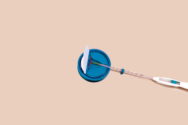 image of contraceptive coil