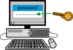 image(56).png